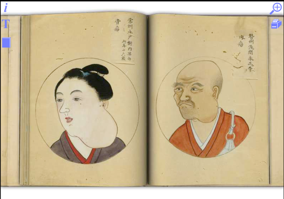 Hanaoka Seishu's Surgical Casebook (en Bibliovirtual.es)
